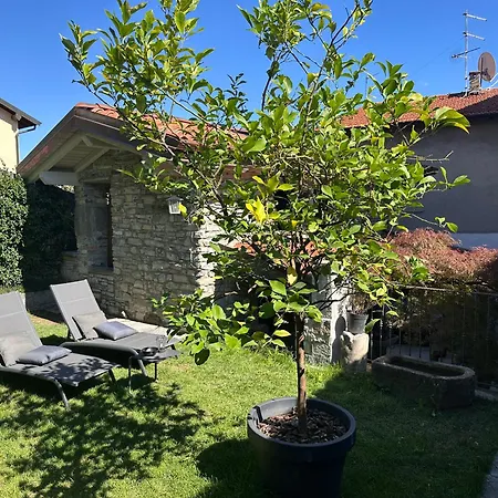 Curt De L'elba Feriehus Cernobbio